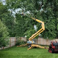 Best Leaf Removal  in Pataskala, OH